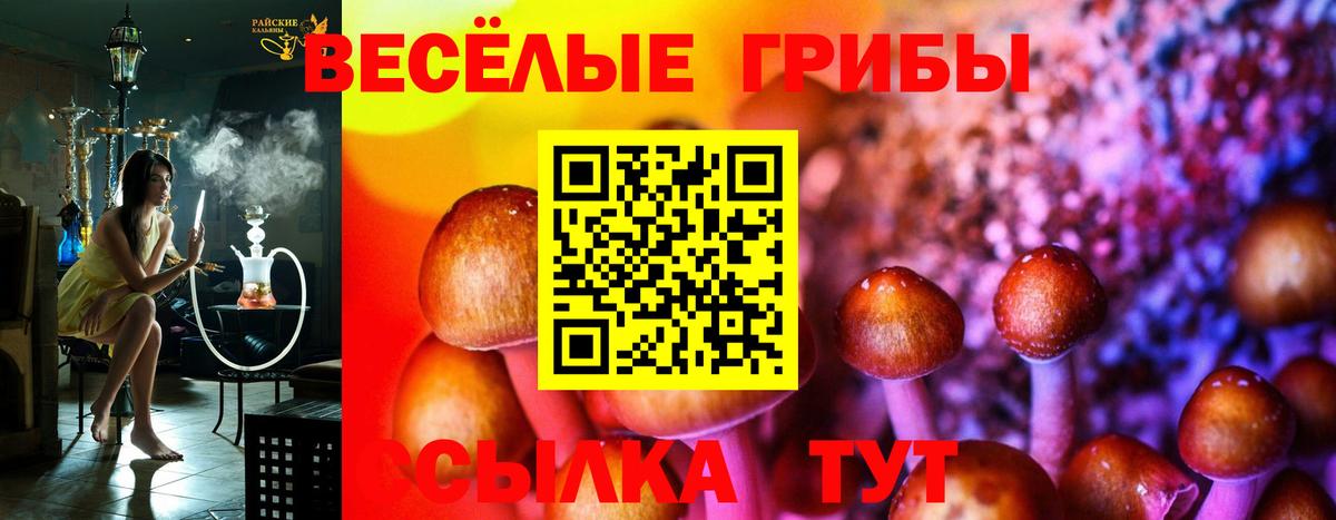 Псилоцибиновые грибы GOLDEN TEACHER Хабаровск