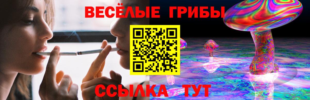 Хабаровск  Псилоцибиновые грибы Magic Shrooms  Вход с VPN 